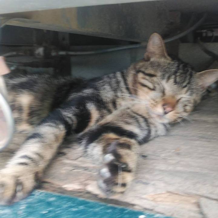 Fd1ccc7c 8079 4c38 b77d fac9719f0326 1568682083036