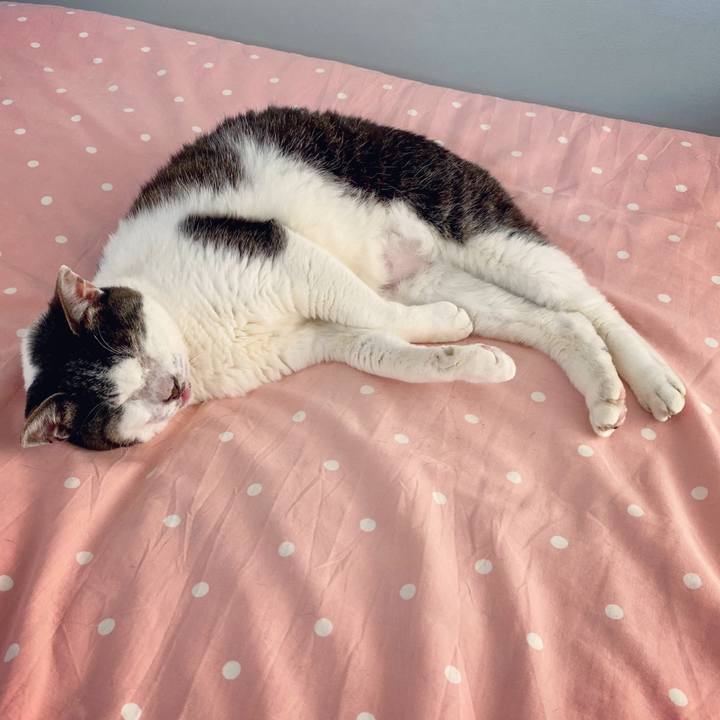 Fd1cec37 7f88 4f85 bcc6 fd118576063a 1589702831906