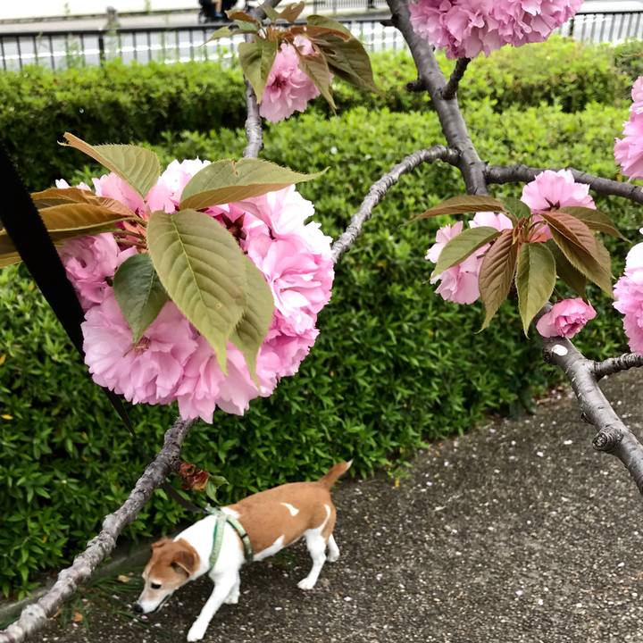 Fd1d04fc d313 4aba 96a3 a86bbeb11de4 1555833026615