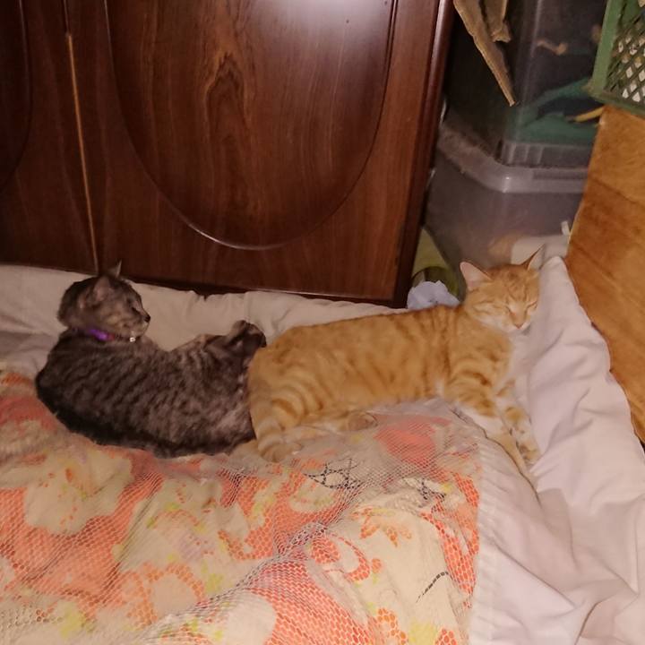 Fd1d13e8 7ba4 4bab bf8c cecfa7eacc7c 1591279897714