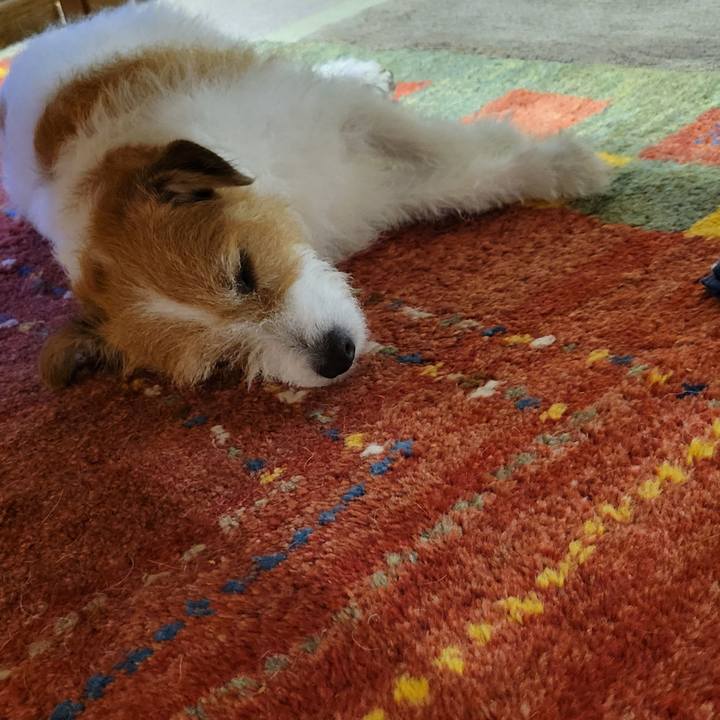 Fd1d90e0 da3e 407a 9962 7a9346479637 1686489752293