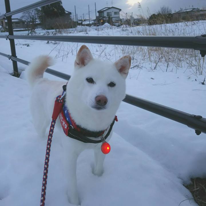 Fd1da167 f352 4161 90ce 74b3733dcca5 1610613063005