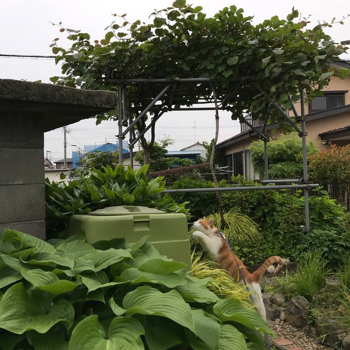 Fd1db99e 5d5f 4b69 a834 c8fc88833d0f 1527687025238