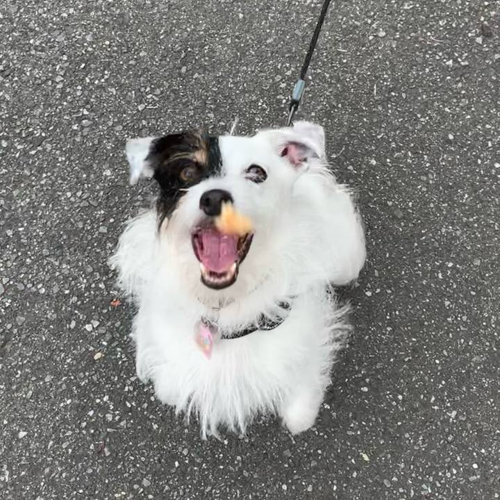 Fd1db9fb 5095 4c59 bee3 40a384140680 1659656553045