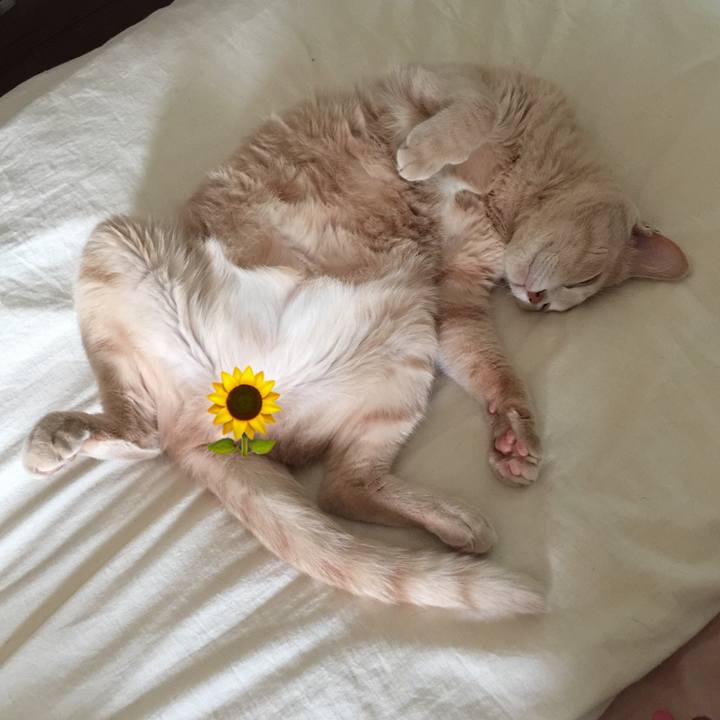 Fd1dbef3 15c0 43f9 a46b ee0e5f5c6cb9 1559705956701