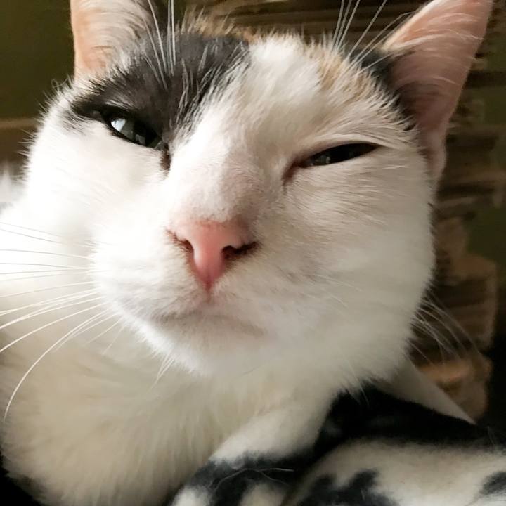 Fd1dc160 e6d4 4f92 890a a84e53d7a576 1512203046254