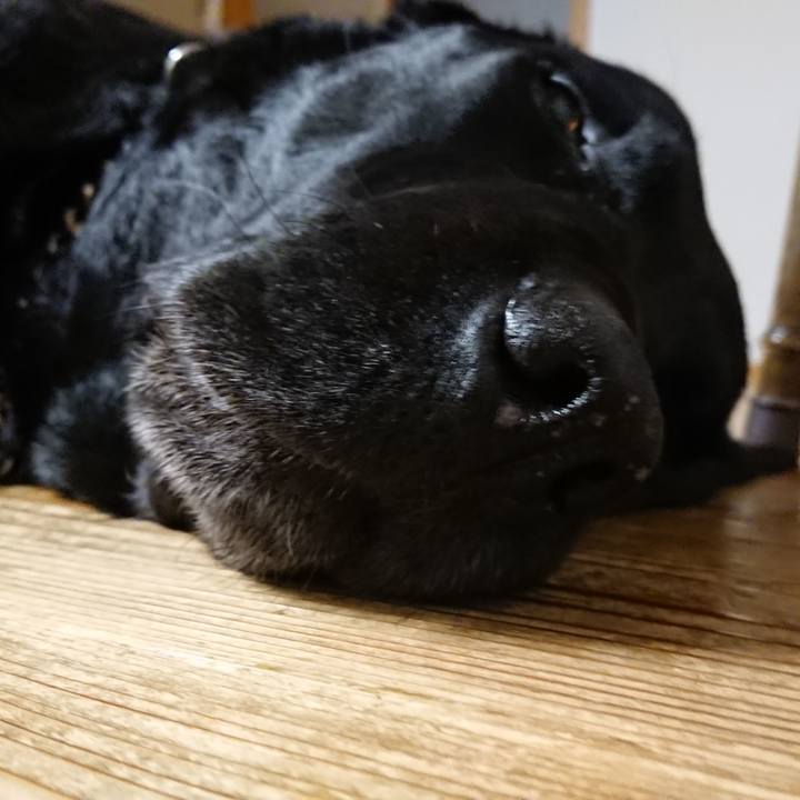 Fd1dc5d5 11ae 4007 9f78 8d02140b36d7 1682334651520