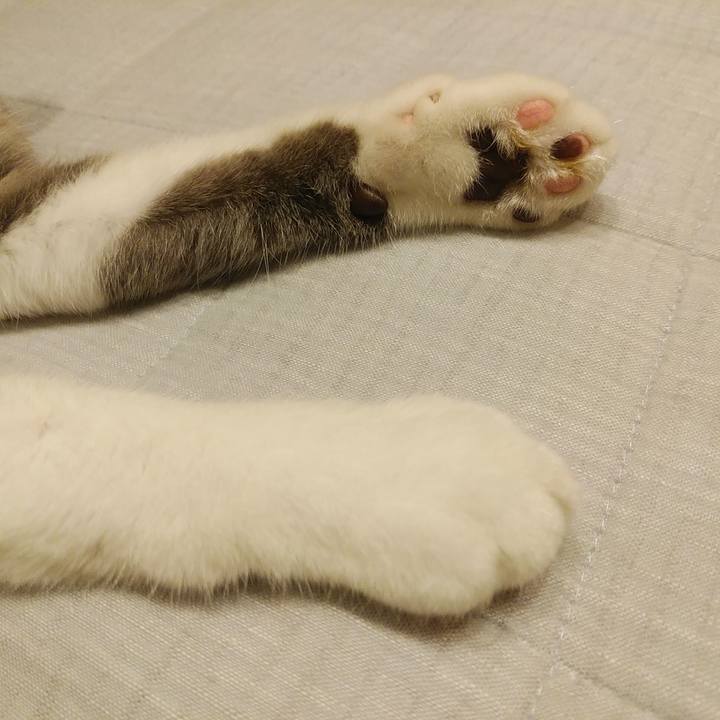 Fd1dff51 7554 469c afea 9ec3fb913c9f 1594993062439