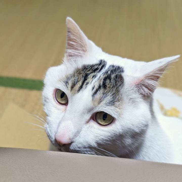 Fd1e0dd8 4b2b 4013 866c fade585bb7d1 1685060177117