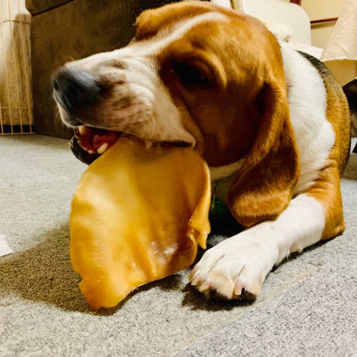 Fd1e198a 2b6a 4ad7 b2dc 5a65a4e28572 1558354409947