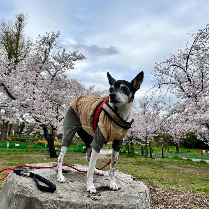 Fd1e38e7 8499 4cb0 af7a 8d0046cbefbd 1648975846932