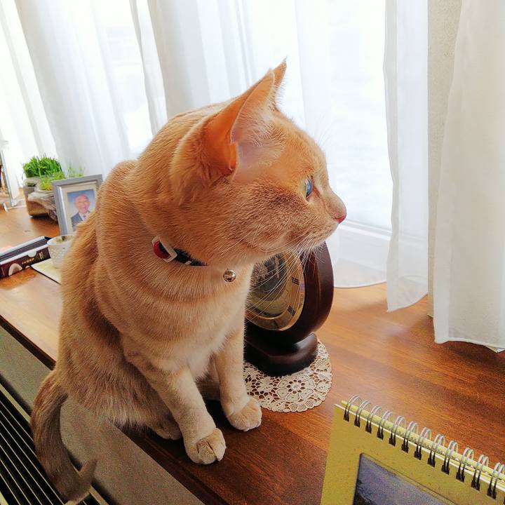 Fd1e5b29 b877 4051 ba01 2a53b81d0eea 1582844515359