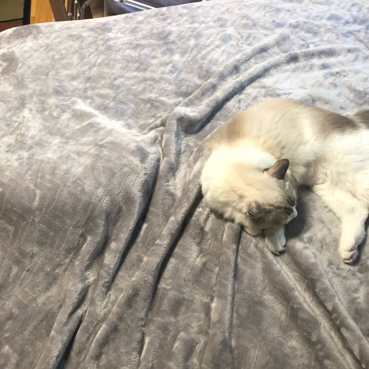 Fd1e6d02 f4c9 47e8 8655 4f9199a6e399 1571455102308