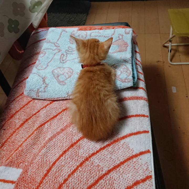 Fd1e81c2 aa98 4242 877c 67fe738f009e 1628285886750