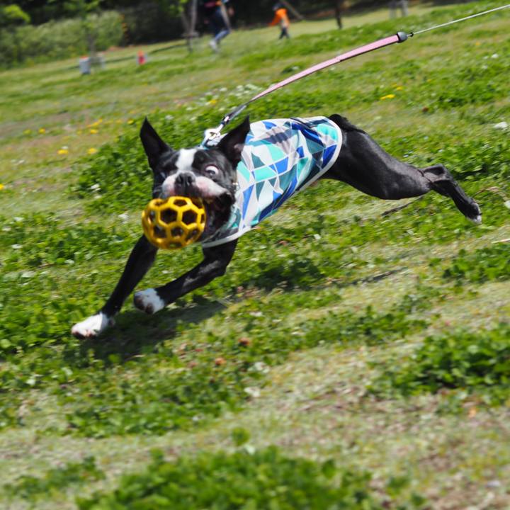 Fd1ee7cb 1dfc 44d7 8bf0 d3ee22dd9b26 1618123239702