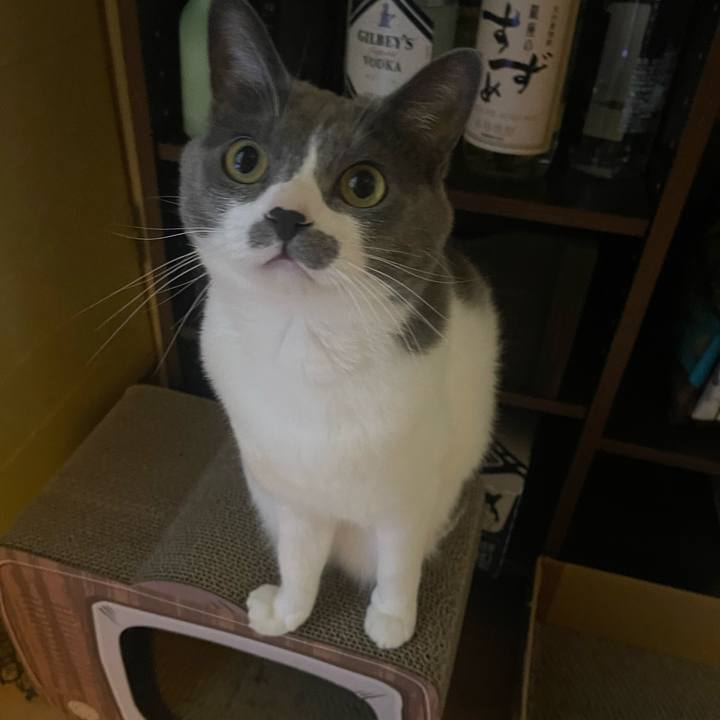 Fd1f0148 86cb 4e4c ada0 2587c0472ea4 1669427343442