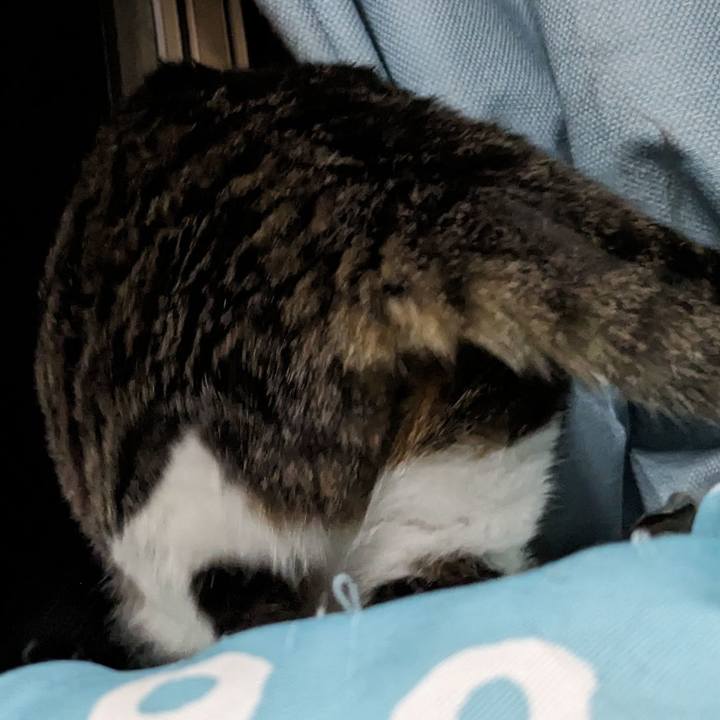 Fd1f1047 15d0 4dd0 9e5f 2d24a0cfd8a6 1716554365702