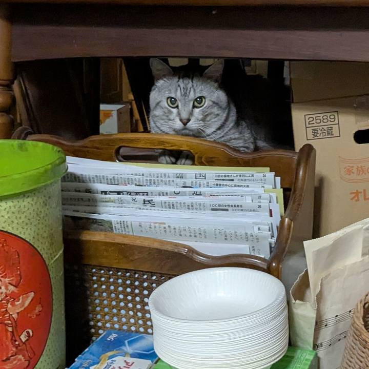 Fd1f4436 79f0 4fa2 9edf b30cead4930f 1751214419693