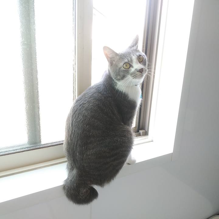 Fd1f56b9 af8f 43e4 9ec5 e4b0a4d85134 1588297631292