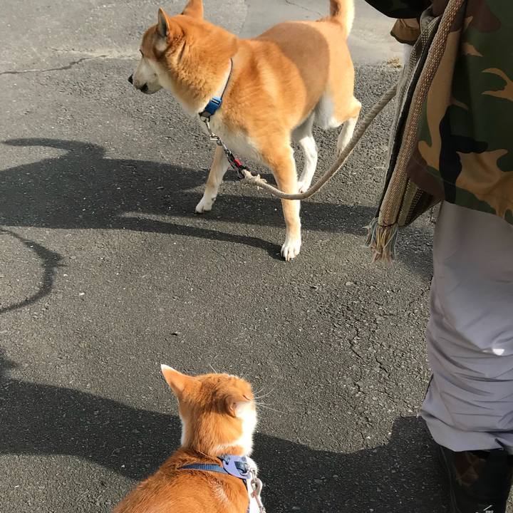 Fd1f69a8 b42a 447e 86ed 3ef1ad4f959c 1513656044233