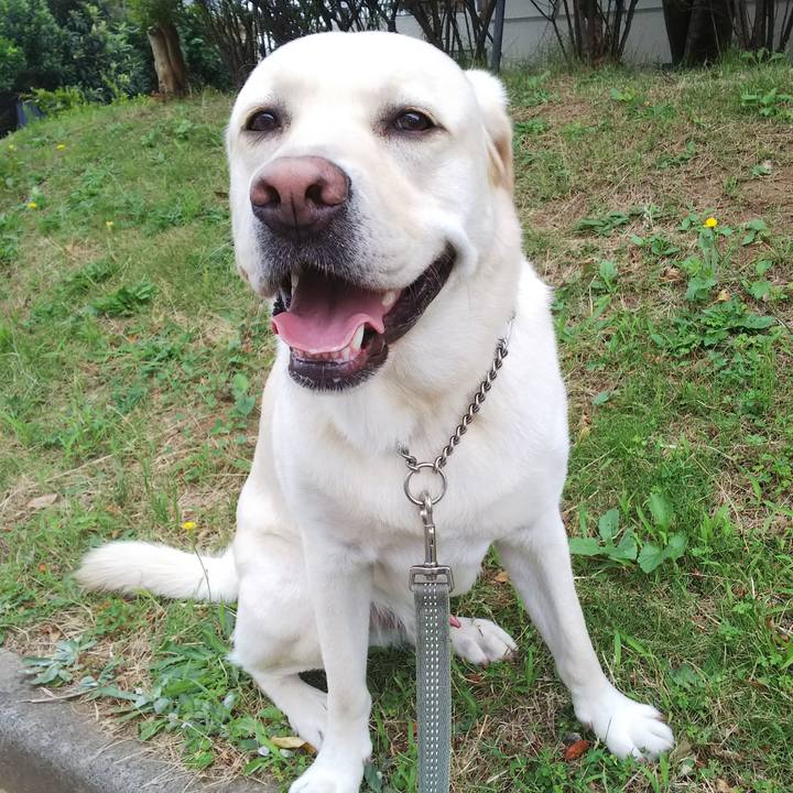 Fd1f7d63 e5f1 41f2 820c 37038dcdd250 1530676533726