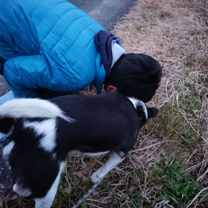 Fd1f8503 0dec 4567 af90 7f61edbda237 1512894763582