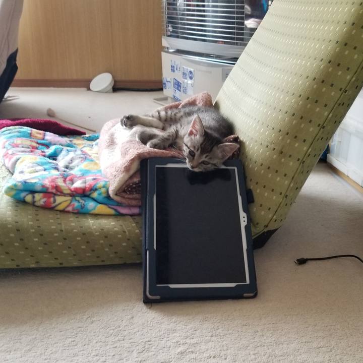 Fd1f8c98 ee46 4efa 817c d98be34dd386 1662644435460