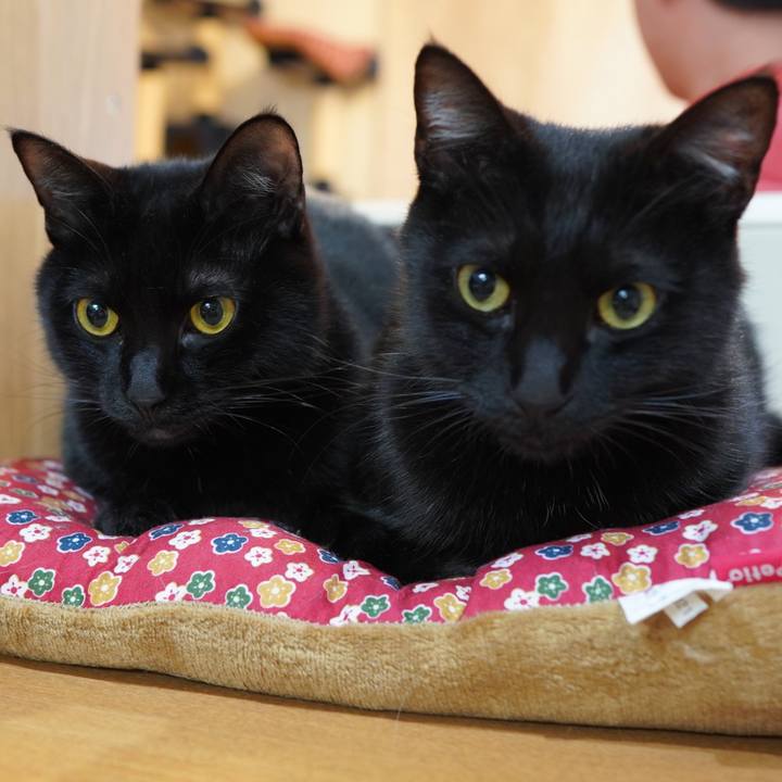 Fd1faa7c 8af3 43c4 ab7b c138801385a2 1584402222467