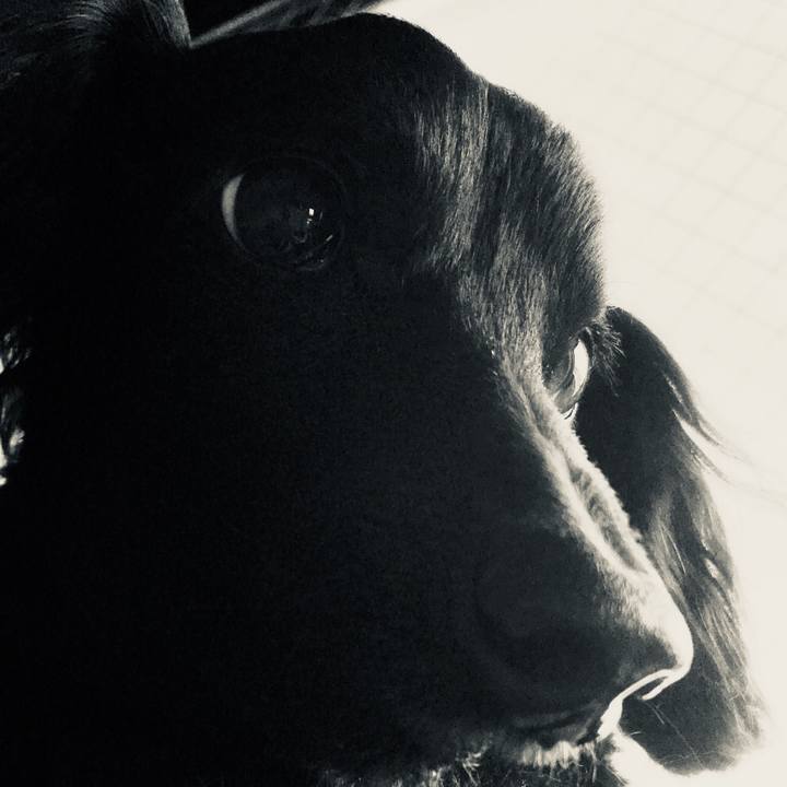 Fd1fc7ab 1553 4eb7 8e73 e0b550250468 1521853694166