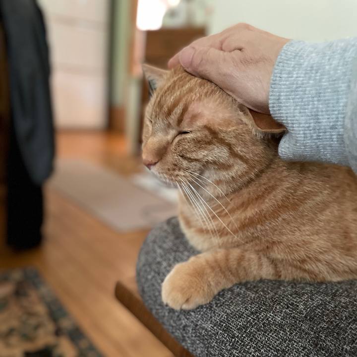 Fd2013f0 5182 42c6 9be9 0dc3e467b219 1714711038002