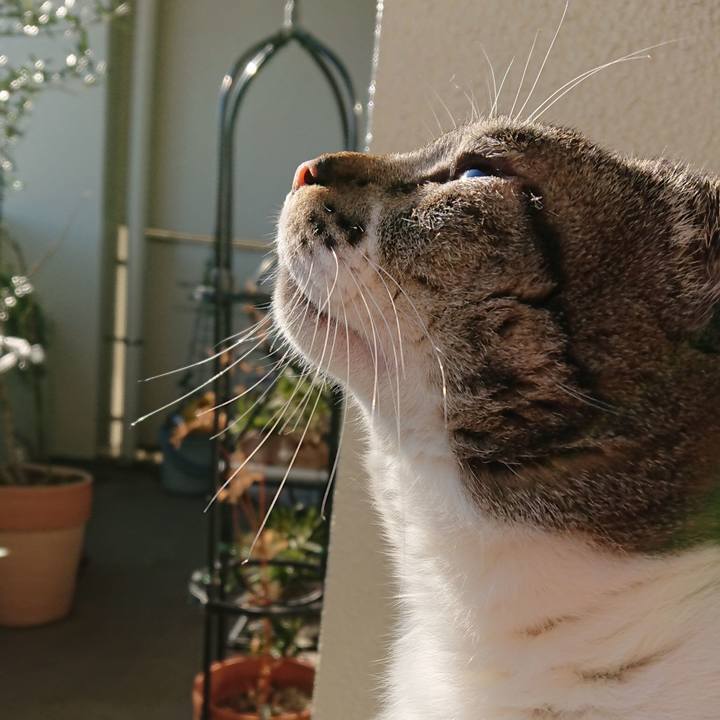 Fd2030c2 9767 42a2 9c34 691930e7934a 1546817338672