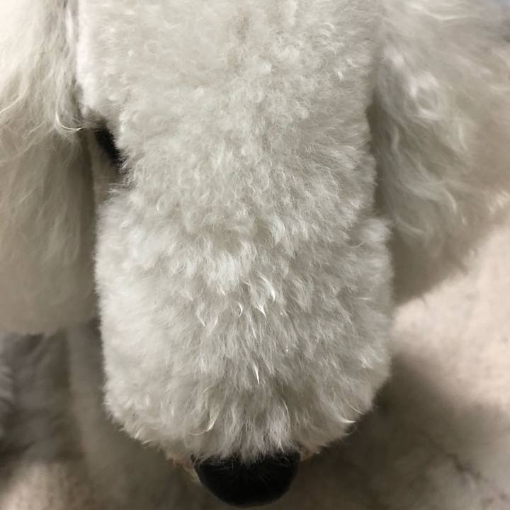 Fd205f2e 800f 4429 961c 2da69461aa85 1609046585572