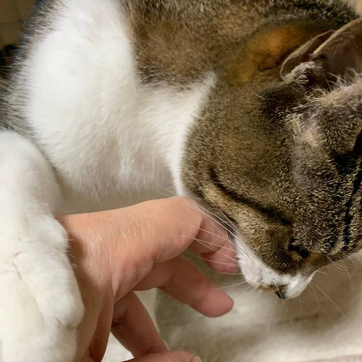 Fd2094bf 5a67 4528 abfe b1419d681805 1545183262570