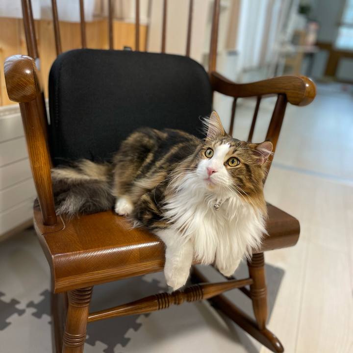 Fd20bc33 c518 4a7c 83c4 0a30df6c912d 1647208977576