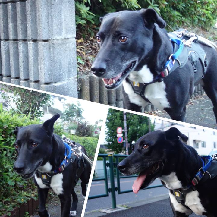 Fd20ee87 73fa 4f1c 96c7 499e5f7b8f51 1653389647605