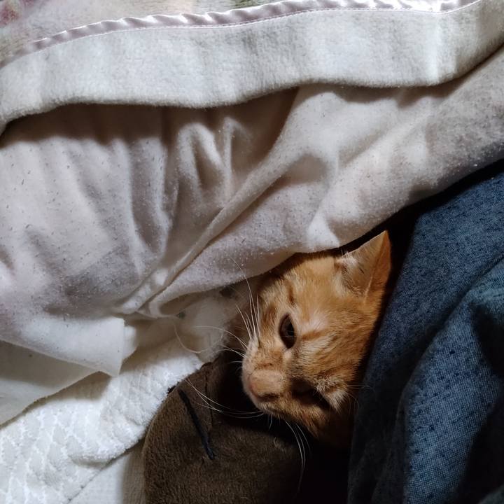 Fd213f5f 4fee 42f7 9069 772ae92cd211 1673182170736