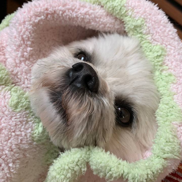 Fd21420b 3c91 4adc a49a 2093c5ad678e 1581749426349