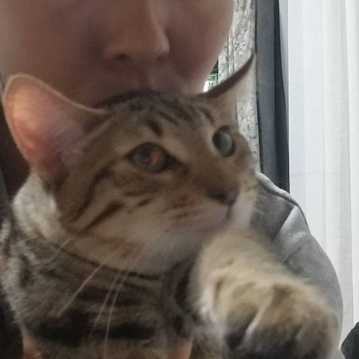 Fd217af3 a920 4a3e 8679 728eb807564a 1568211840259