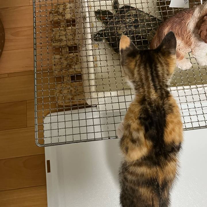 Fd21b0f3 3561 431c 8686 79c61e5a6582 1652359389413