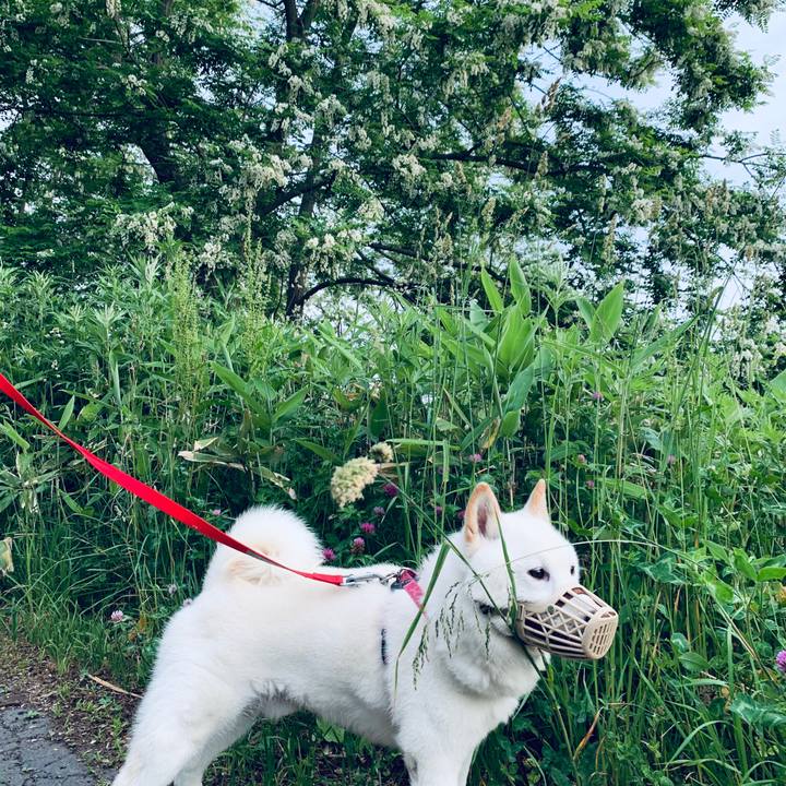 Fd21b2e2 7b1f 4dc4 8f05 67855c0333c1 1592253898093