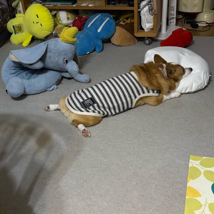 Fd21b43a a5cb 4ef0 b381 89cf627fe3c3 1762531379335