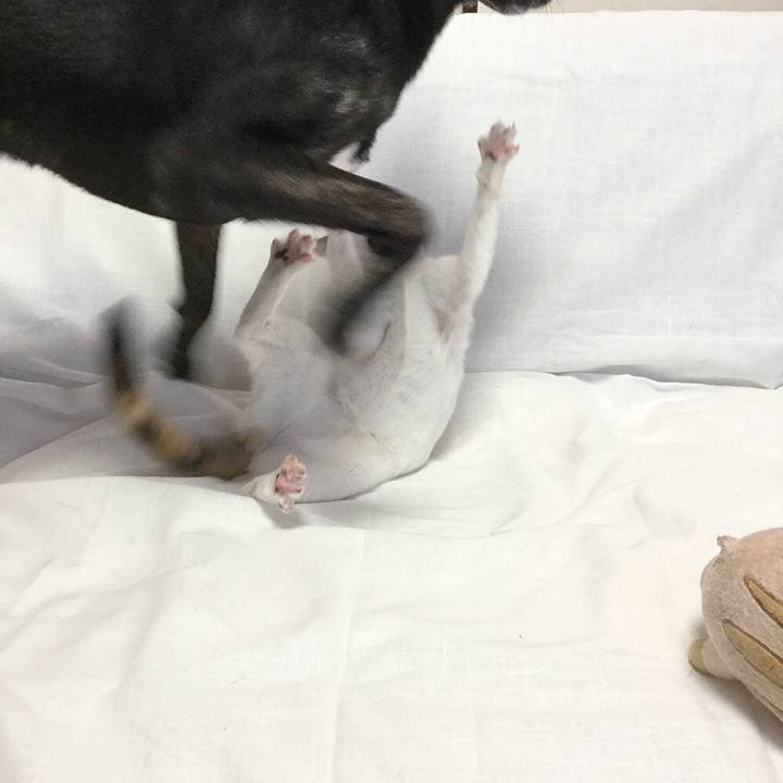 Fd21b57f 72c5 4905 893a f8617eaffd4f 1555120495716