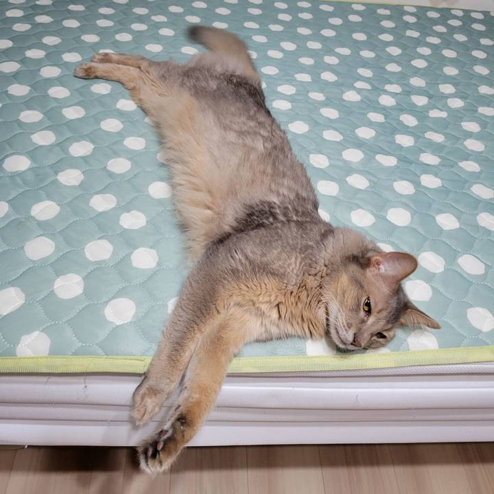 Fd21c7dc 2782 4bef ac4b 761f5d72959b 1657935576671