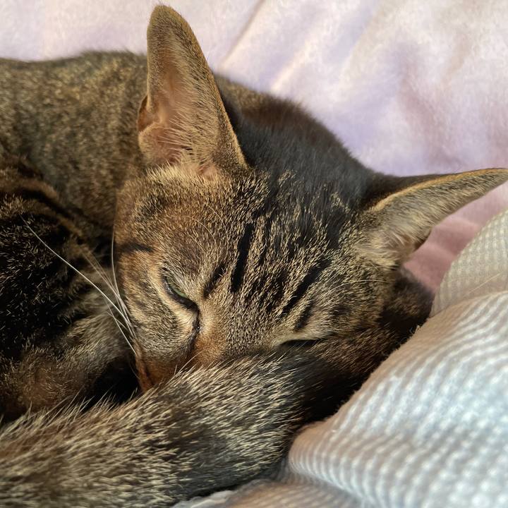 Fd21c9af a4d6 4705 a843 b81b02999d34 1606264933748