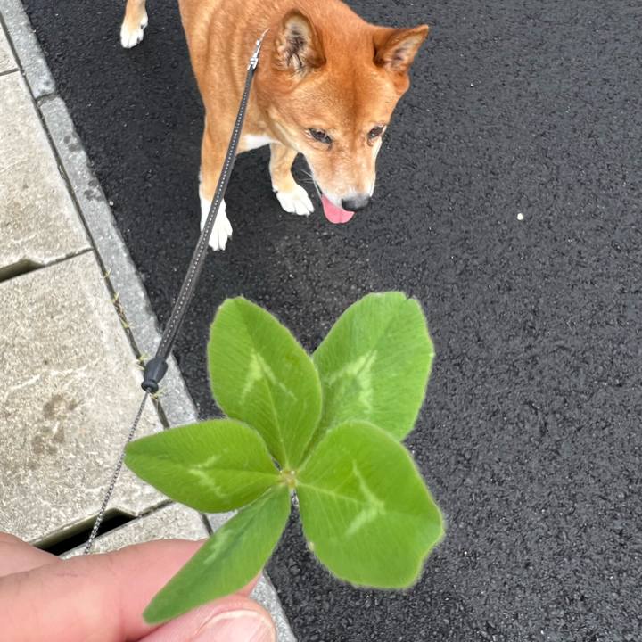 Fd21e3fd a45f 4c78 8549 2a6e1ae1ae95 1717295010795