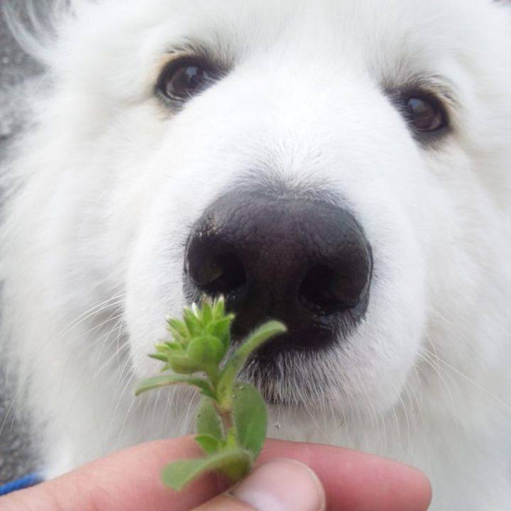 Fd21e773 0460 46a5 b7bb f0fc2c561a12 1680119059364