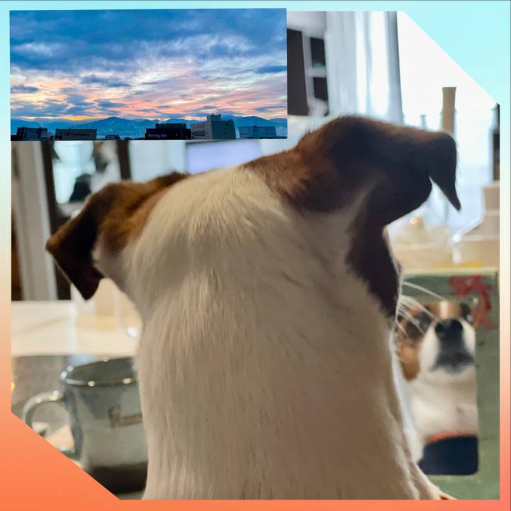 Fd21e989 3b53 4009 9595 fd221a21a69c 1644713505744