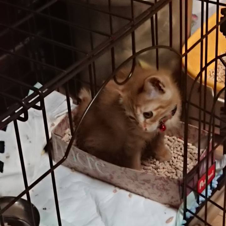 Fd2202d0 fc66 4d6e 85f2 bae9a2bc9dca 1628157104400