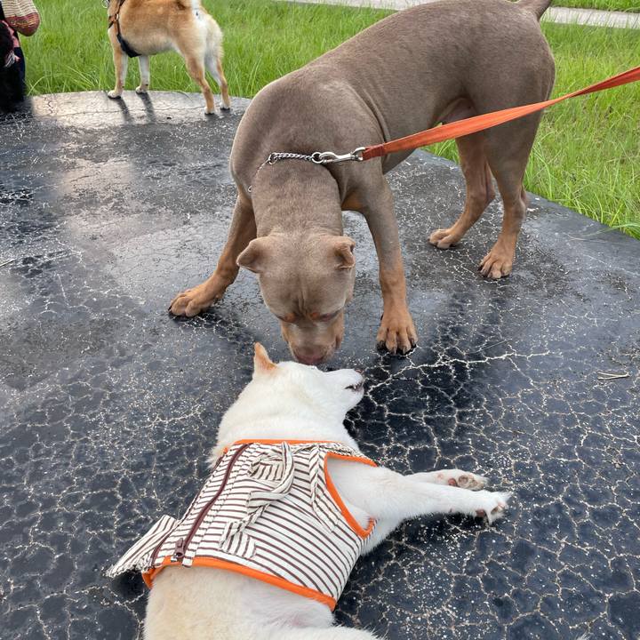 Fd220568 69bf 41c9 9600 bc3b5591d366 1655982700775