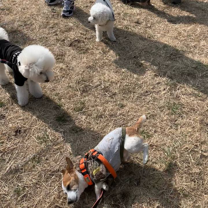 Fd2219fe 9d48 41f0 877b e66aa7029616 1645578443423